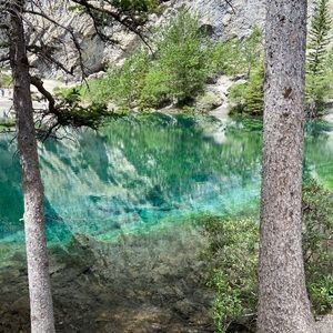 Meet your Posher, Chessie